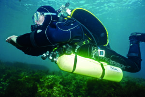 Dive Like A Pro: Develop your Diving Skills