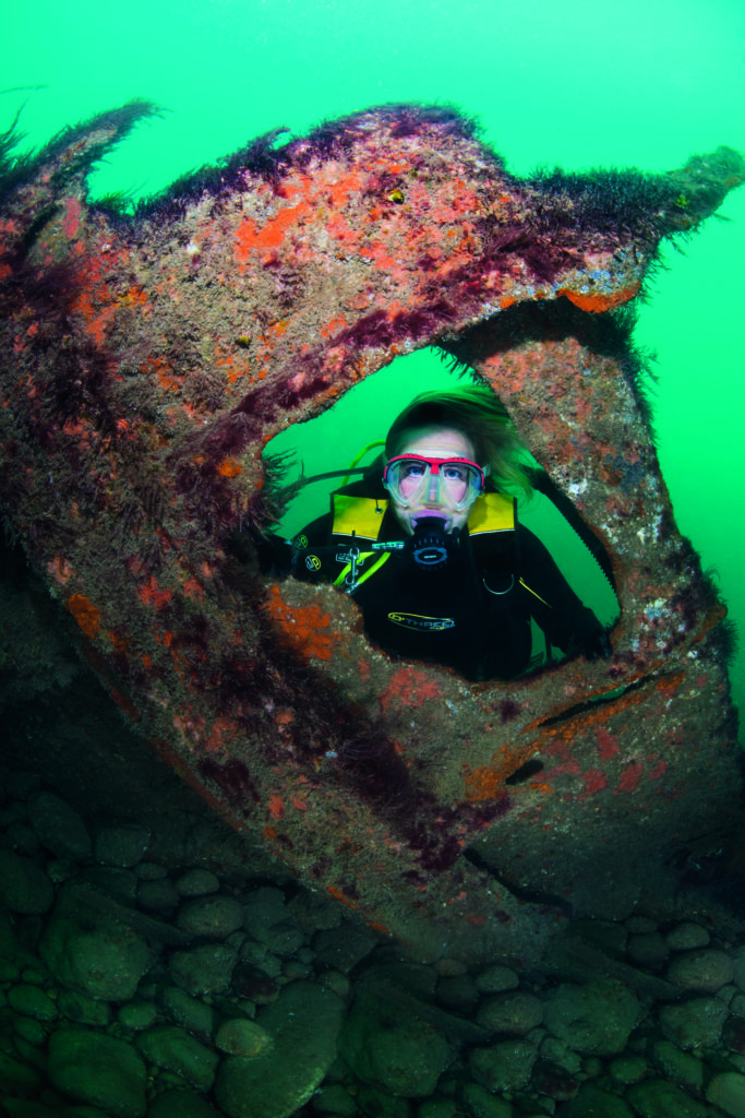 Diving at the Wreck