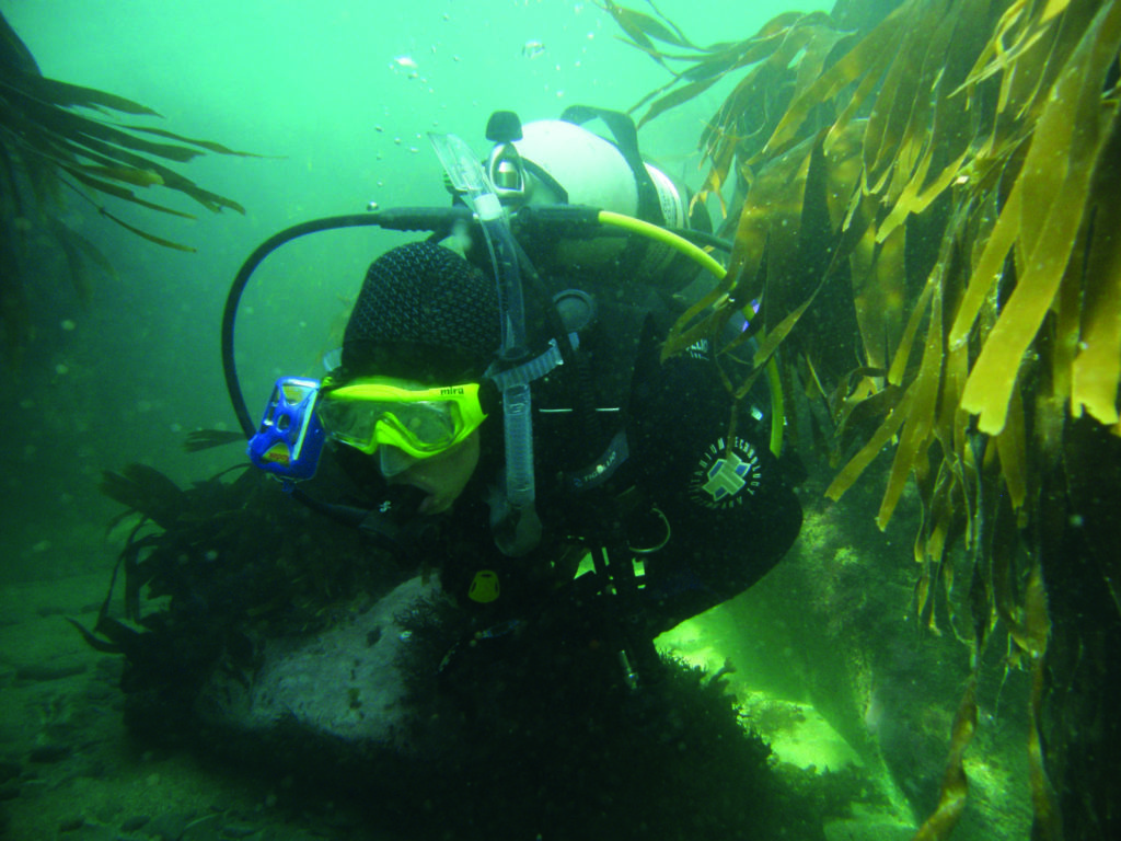 Diver on gradual sloping seabed