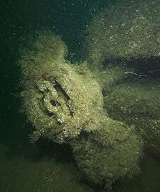 Kedge anchor pulled tight into its locker.