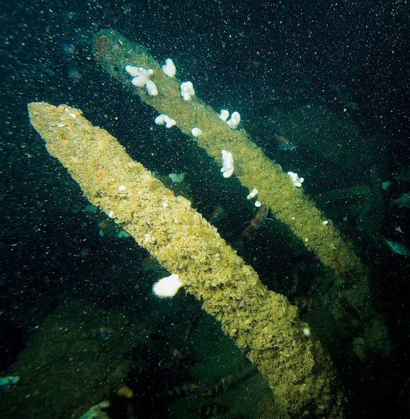 Ribs on the port side of the keel, where the side of the hull has folded inward