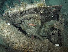 The gun mounts have fallen to the seabed