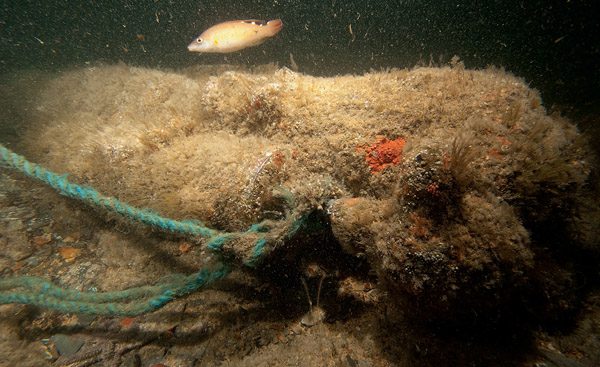 Twelve-pounder gun on the seabed to port of the stern