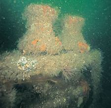 Wreck Tour 80: The Alastor 2 Twin capstan near the stern