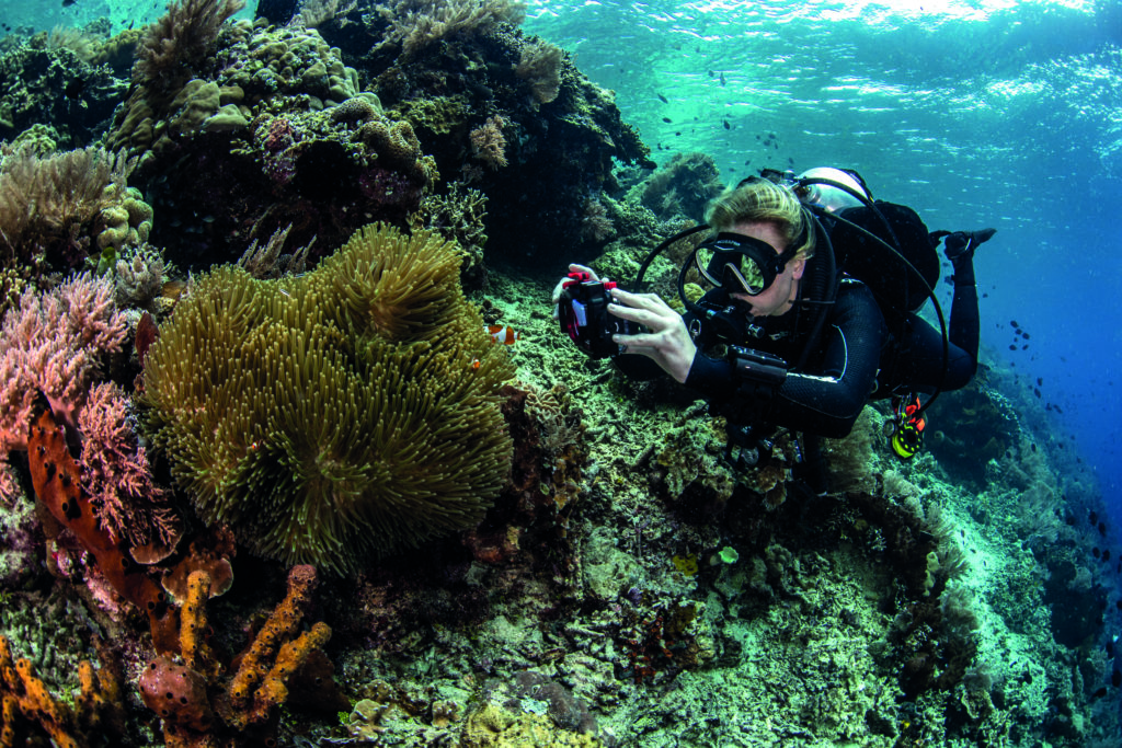 Diver capturing the sea bed on lens