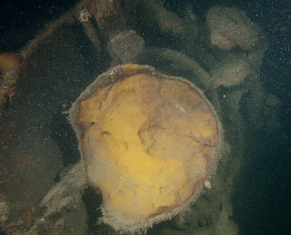 Minelaying tube with broken mine casing, showing explosive inside
