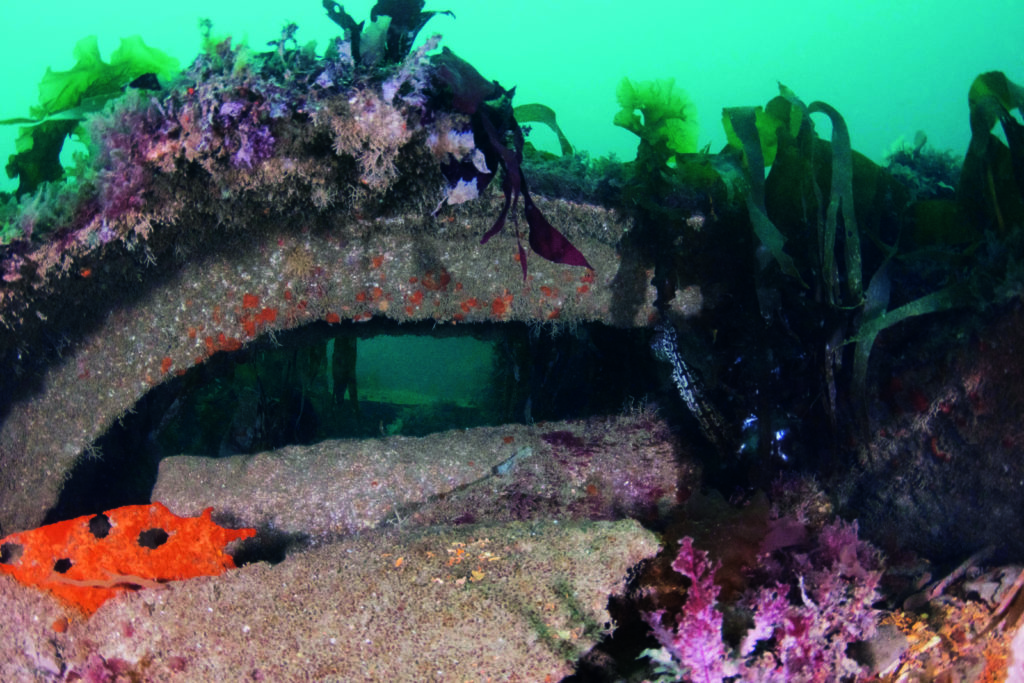 remains of the hull