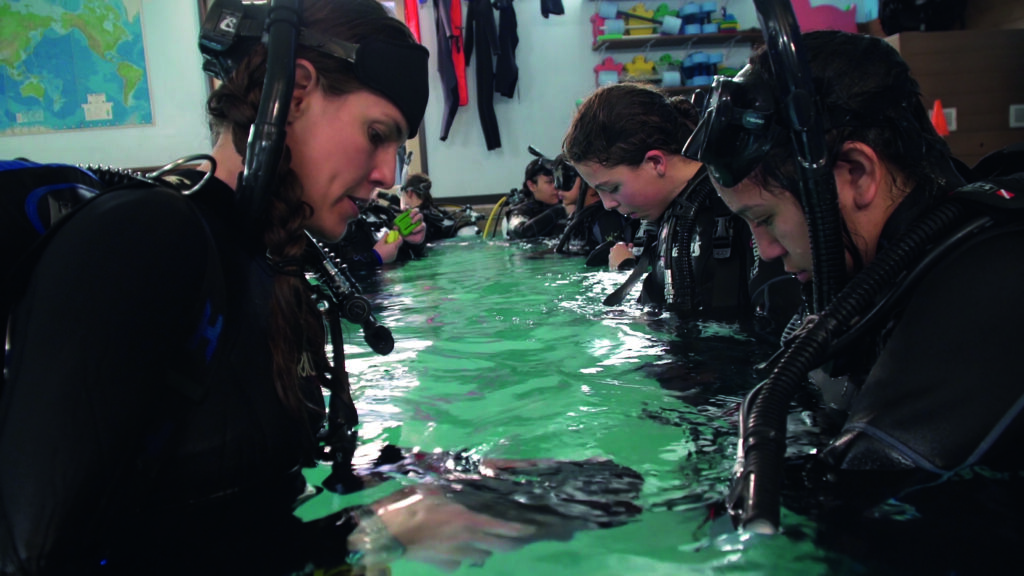 Mehgan Heaney-Grier: Freediver, Stuntwoman, Ocean Advocate & Adventurer 3 Diving lessons