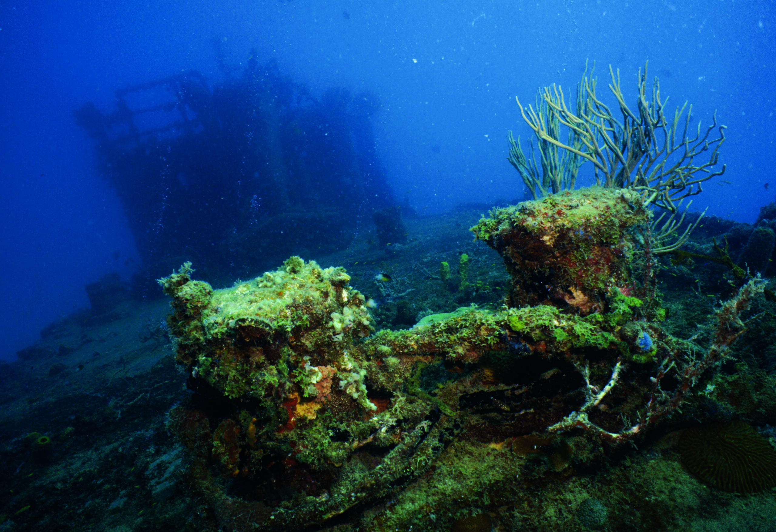 Barbados Diving Guide: SS Stavronikita & Carlisle Bay Wreck Trail with Mark Evans 4 Photographs by Mark Evans