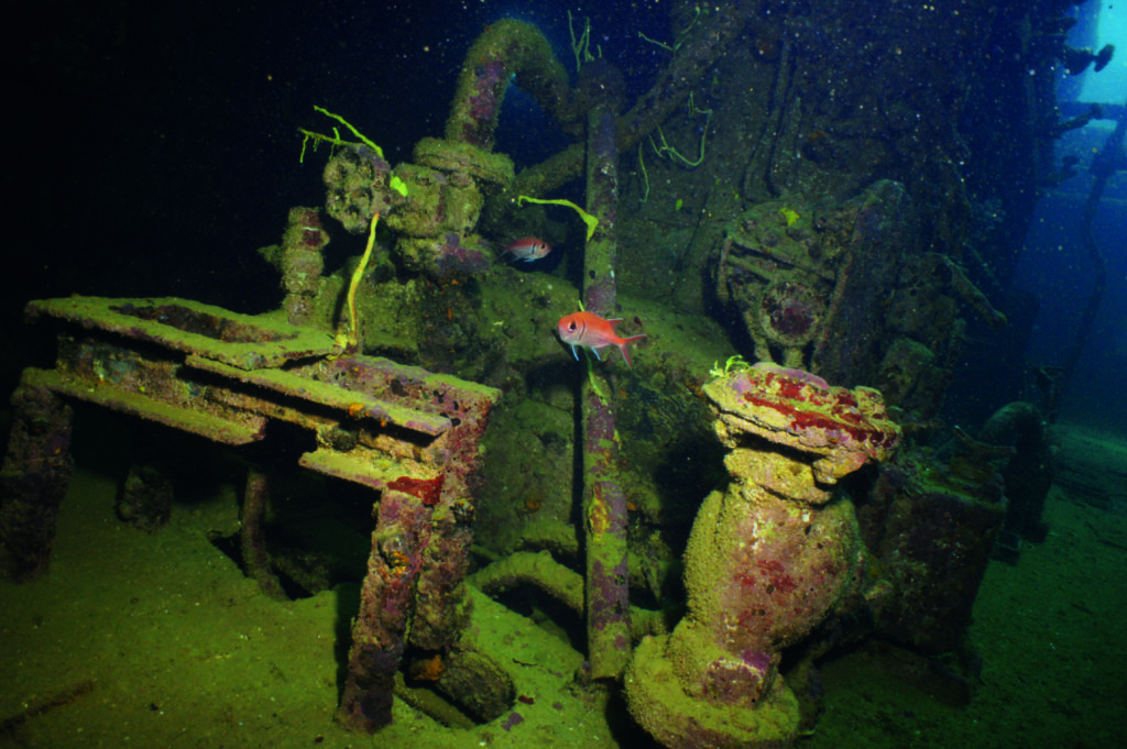Barbados Diving Guide: SS Stavronikita & Carlisle Bay Wreck Trail with Mark Evans 7 Photographs by Mark Evans