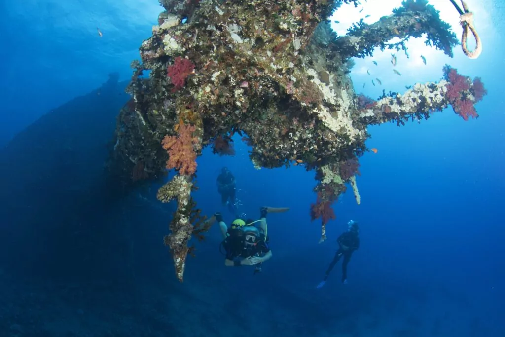 Bangkai Laut Merah