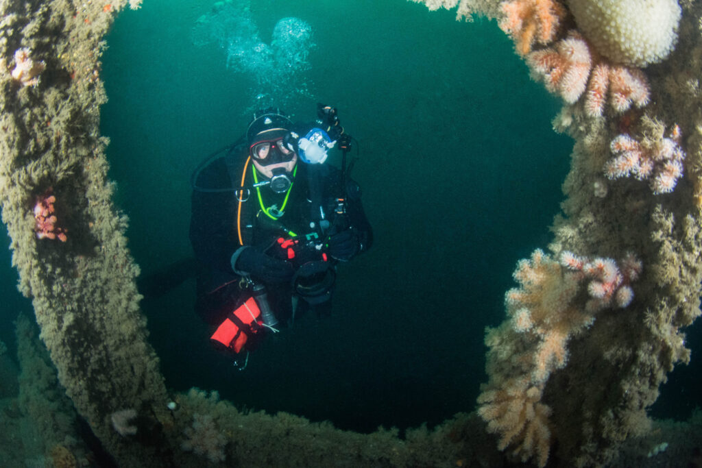 Diving the Isles of Scilly: Wrecks, Reefs, and Seal Encounters 6 Second Dive
