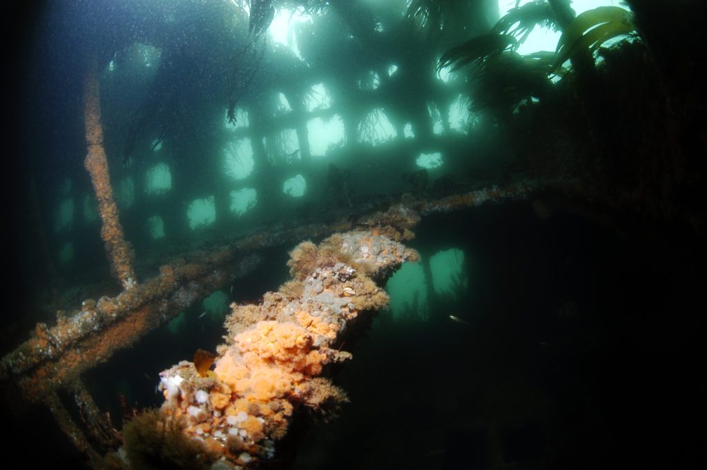 Inside the Wreck