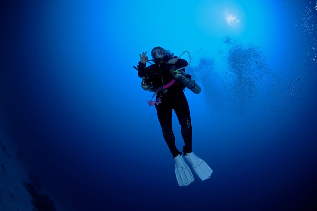 The Dive At Hurghada