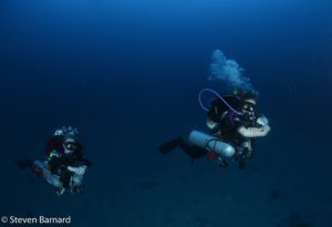 Diving in the depths of Hurghada, Egyptian Red Sea