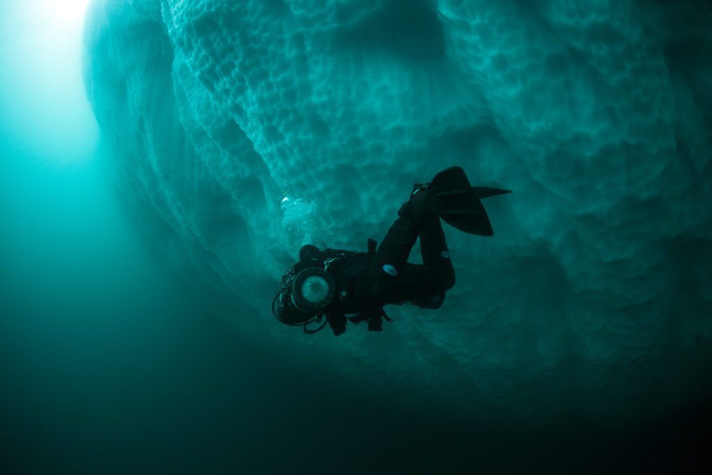 Diving by the Iceberg