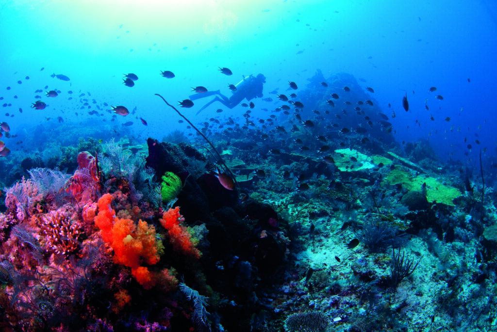 Exploring the depths of Indonesia