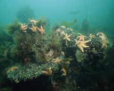 Mounting from the anchor-winch