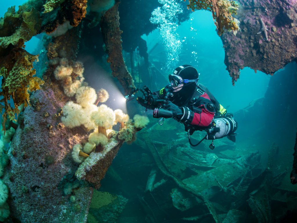 Diving at the Torpedo Hole