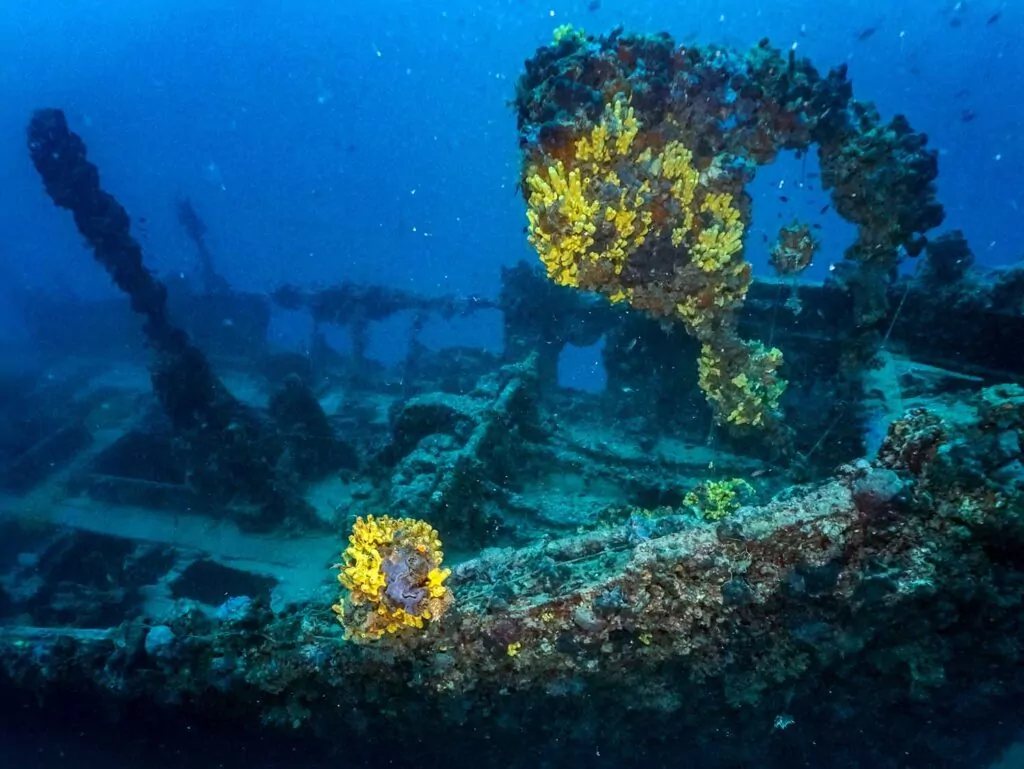 Montenegro wrecks