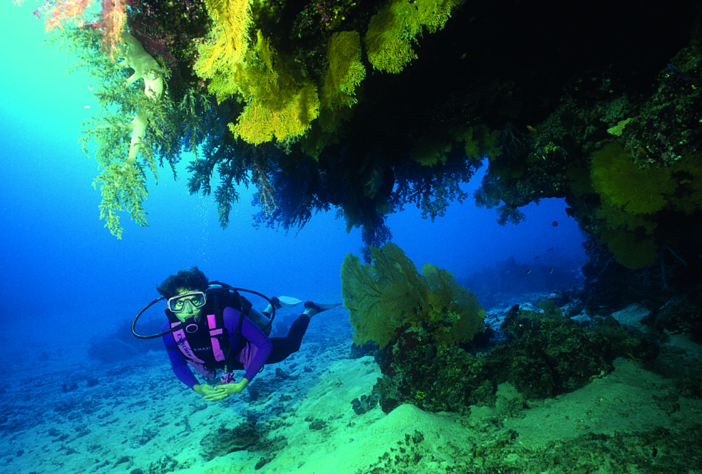 Exploring Thailand underwater