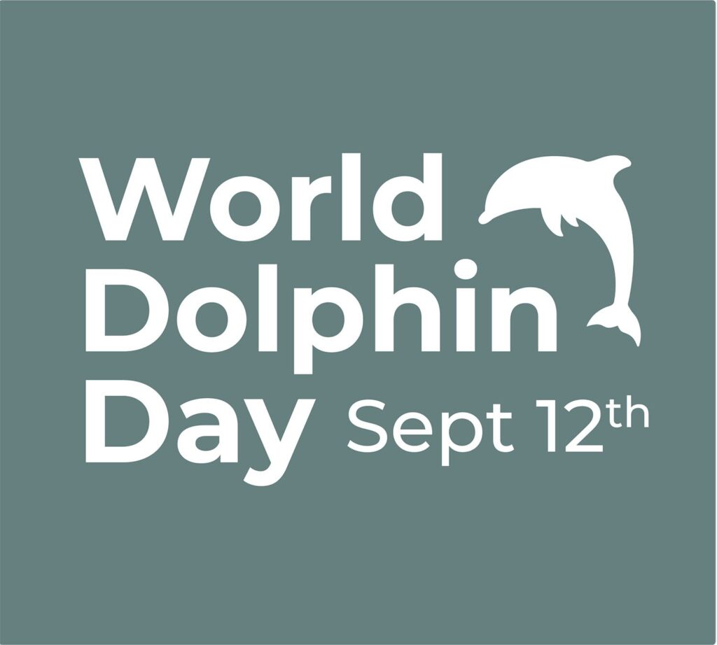 Dolphin logo