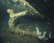 Wreck Tour 71: The Verona 1 a porcelain toilet bowl with painted blue pattern inside