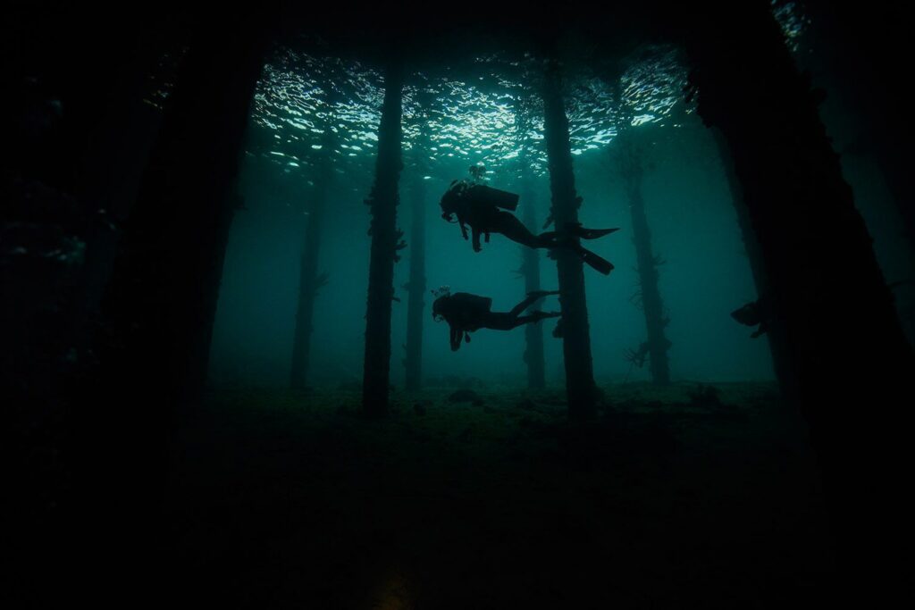 Bermuda wrecks