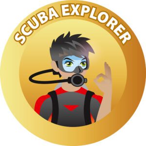 SSI Explorer