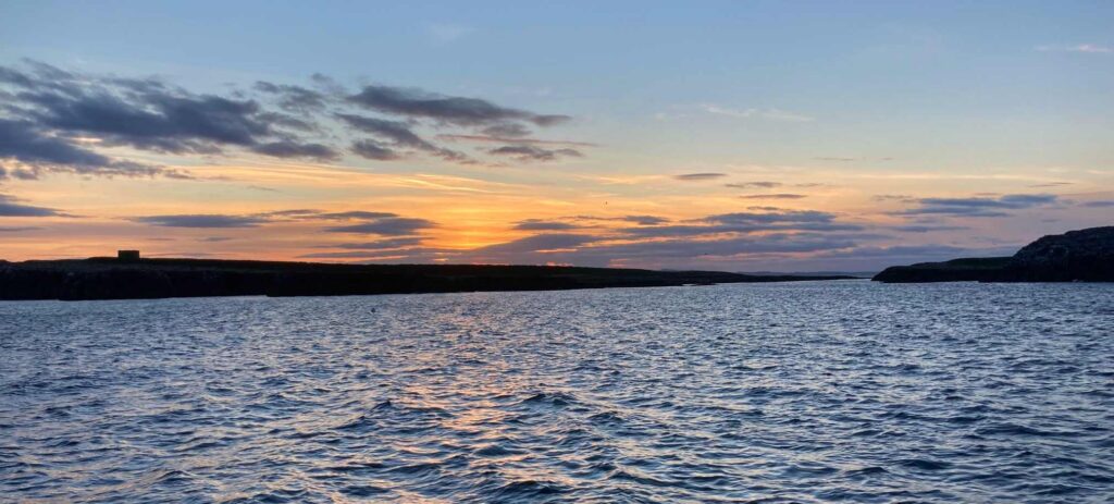 Seal of the Farnes