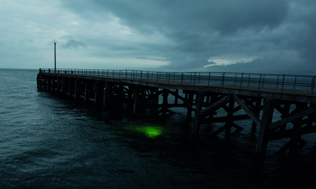 Diving a pier becomes a very different experience by night