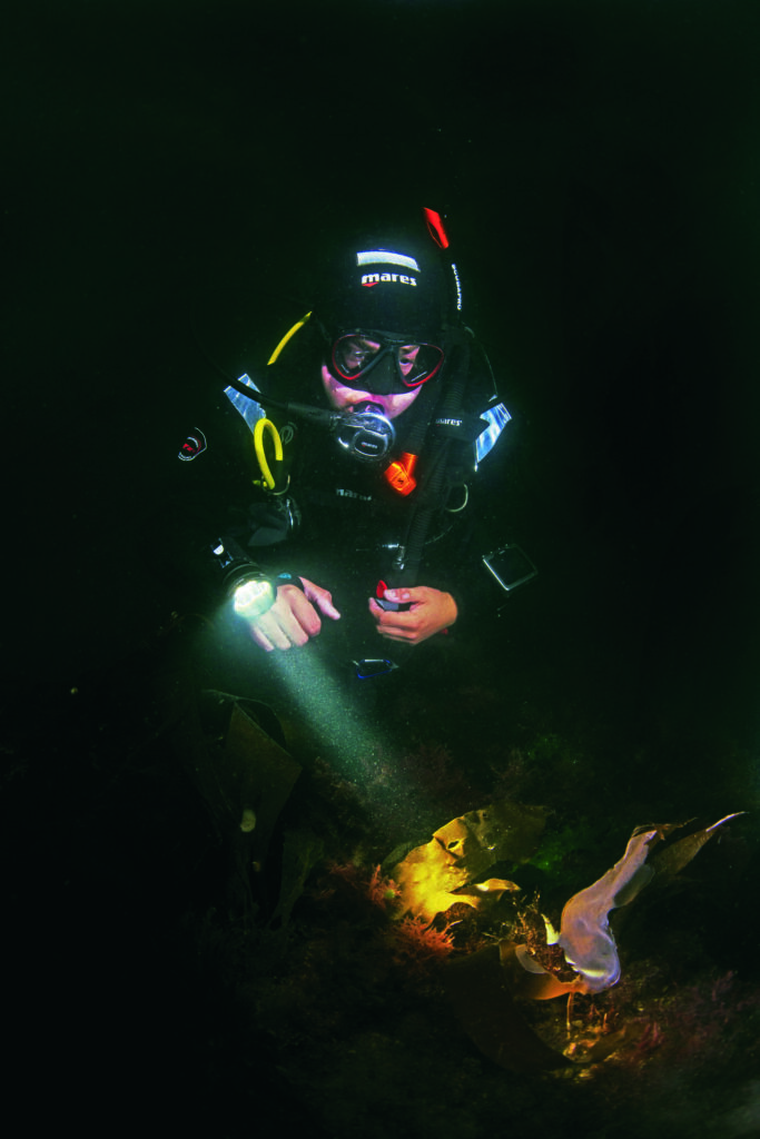 Take the dive-lights most suitable for the job. Photographs by Mark Evans
