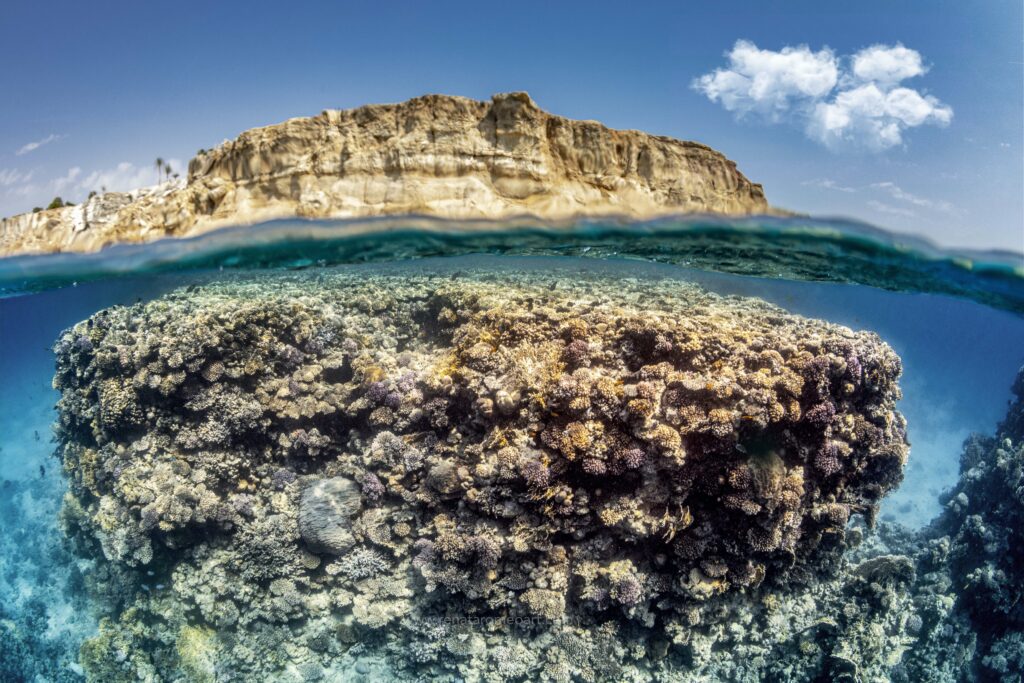 Groot randrif in Egypte (Renata Romeo / De Beeldbank)