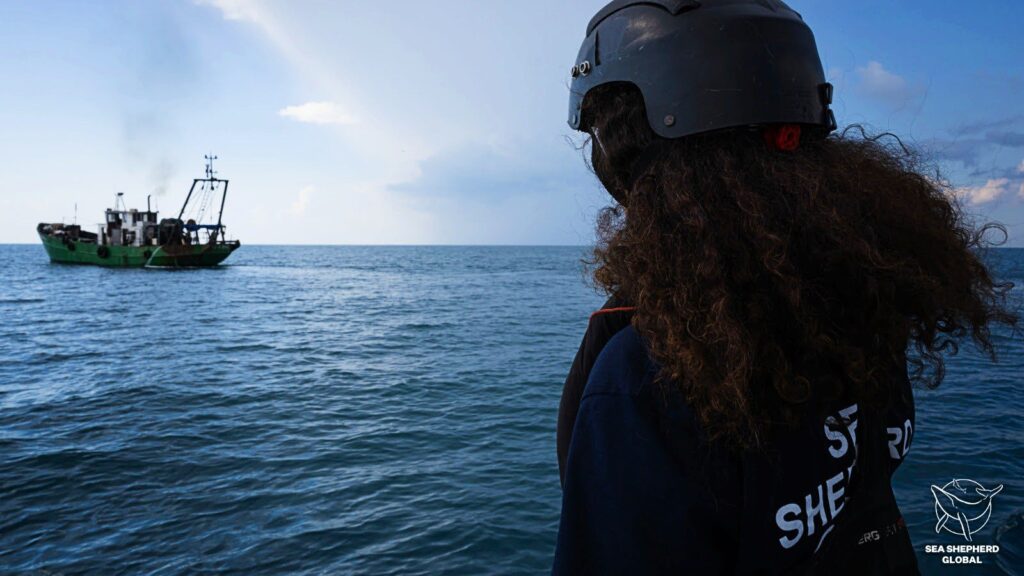 Sebuah bot pukat tunda dikesan di Palmahim Slide MPA (Sea Shepherd Global)