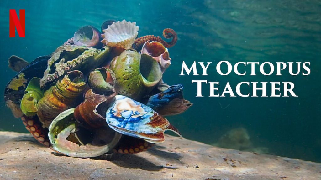 Netflix My Octopus Teacher