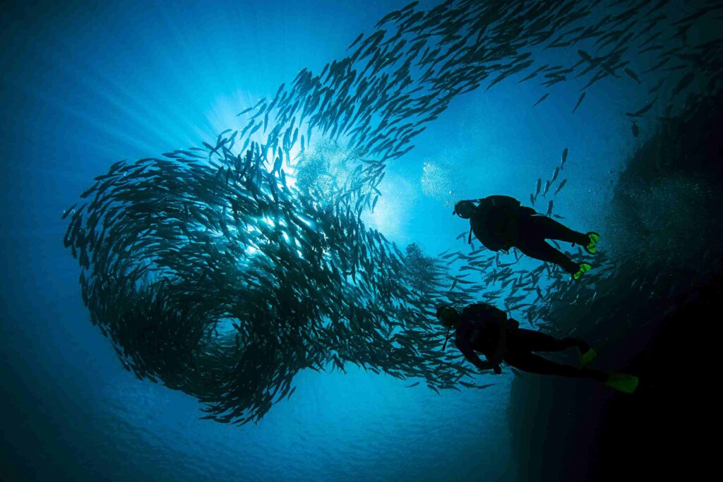 Jacques Cousteau ikkalkola ħafna lil Sipadan tal-Malasja (PADI)