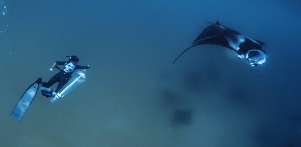 Zooplankton prøveudtagning (Miriam Staiger)