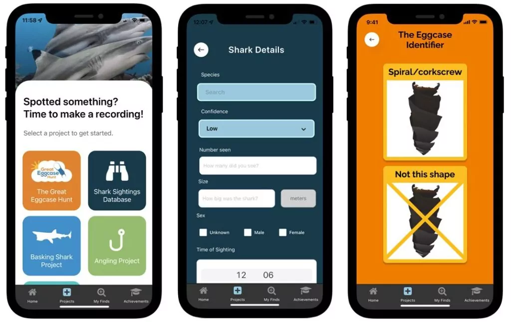 Die neue Shark Trust App deckt fünf Citizen-Science-Projekte ab (Shark Trust)