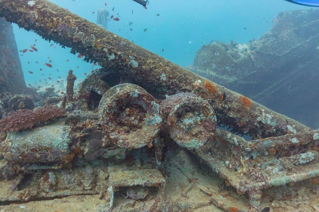 Thistlegorm (Диего Делсо)