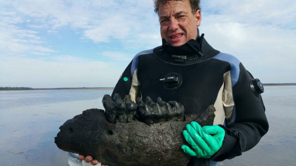 Eberlein with a rare find – 27kg mastodon jaw