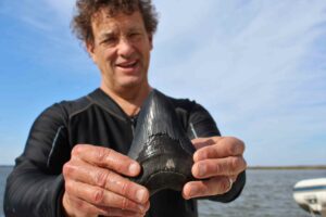 Bill Eberlein with a prize megalodon tooth