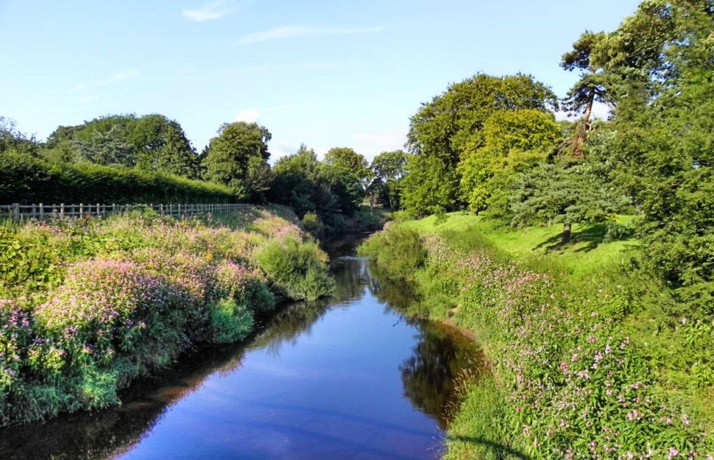 Ang River Wyre sa St Michael's on Wyre (David Dixon)