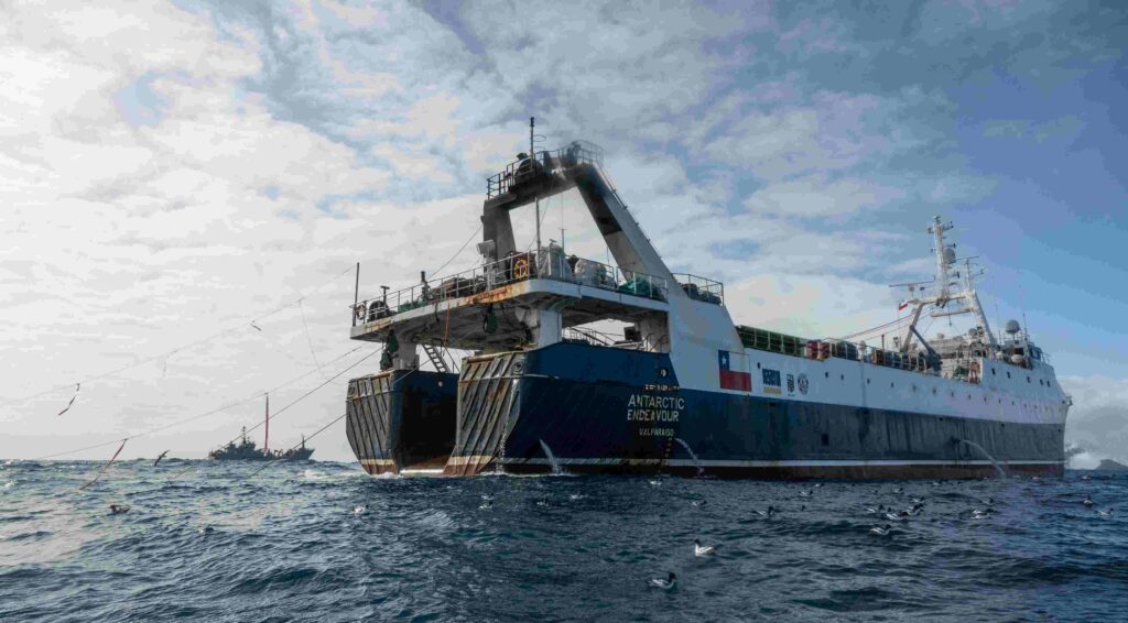 Antarctic Endeavour-trålare med Allankay i bakgrunden (Sea Shepherd Global)