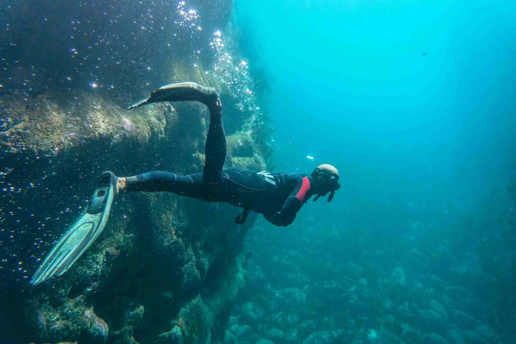 Freediving at Cathedral Cove, Coromandel (PADI)