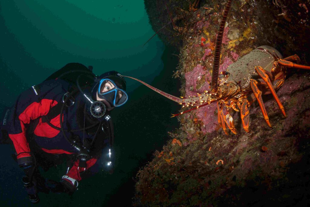 Cangrejos de río en Fiordland (PADI)