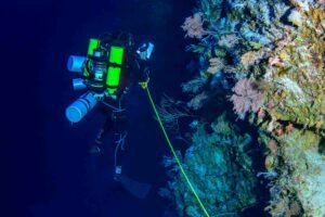 A CAS diver conducts a reef survey at mesophotic depths (Luiz Rocha / California Academy of Sciences)