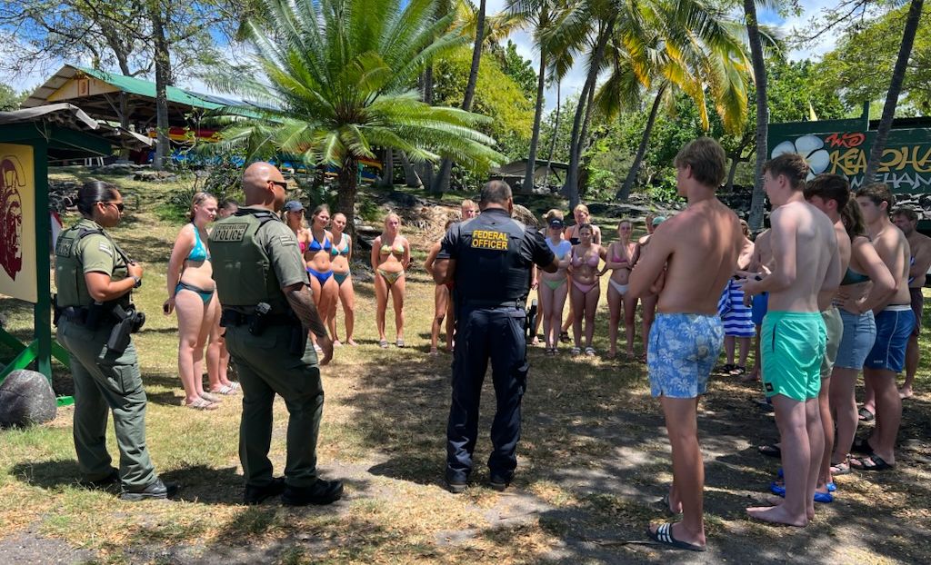 Officers round up swimmers caught harassing a pod of dolphins