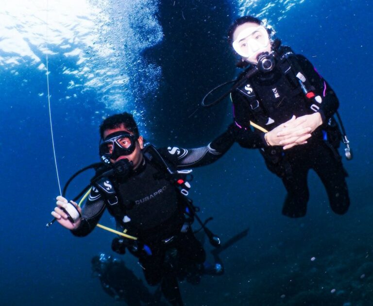 The Philippines tourism secretary diving at Puerto Galera last week (Department of Tourism)
