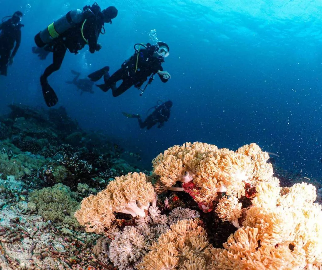 Diving Puerto Galera last week (Department of Tourism)