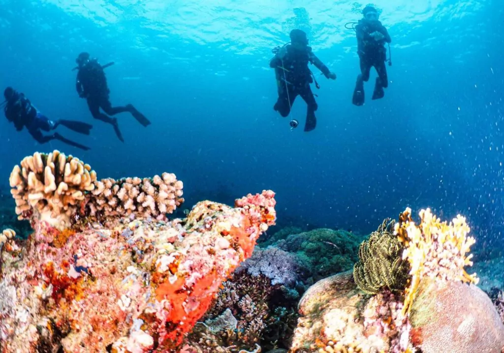 Diving sa Puerto Galera (Department Of Tourism)